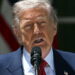 Cárteles “dirigen México” y la presidenta está “muy asustada”: Donald Trump