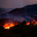 Alerta máxima en Grecia por incendios forestales en varias regiones