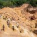 Tragedia: más de 100 muertos por colapso de mina de oro