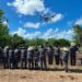 Refuerza la UAT brigadas de contención frente al gusano barrenador en Tamaulipas