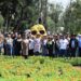 Turismo y Sedema fortalecen la naturaleza y conservación en Xochimilco