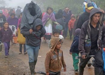 Desplaza la violencia a 1.6 millones de mexicanos: ACNUR