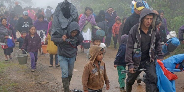 Desplaza la violencia a 1.6 millones de mexicanos: ACNUR
