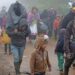 Desplaza la violencia a 1.6 millones de mexicanos: ACNUR