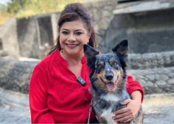 Adopción responsable de animales rescatados; proceso con plataforma digital