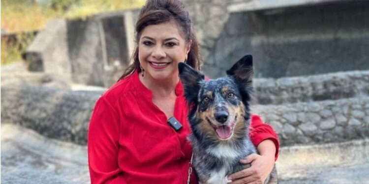 Adopción responsable de animales rescatados; proceso con plataforma digital