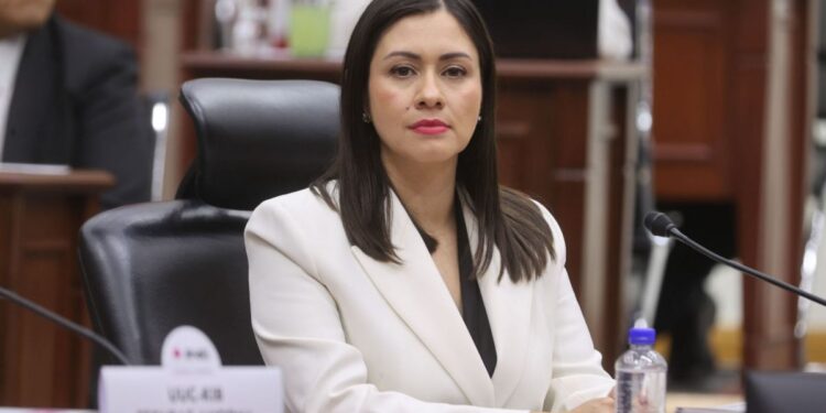 Eligen a Blanca Cruz como presidenta provisional del INE